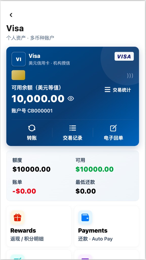 VISA信用卡权益界面